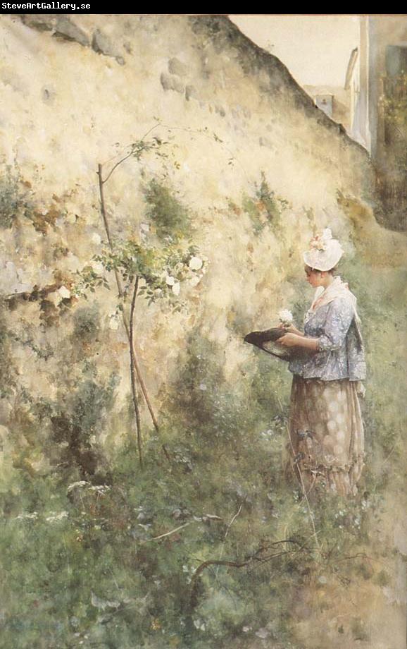 Carl Larsson The Old Wall